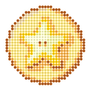 スターカップ