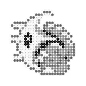 モーシン