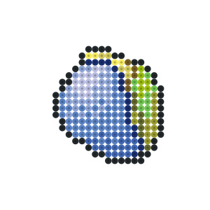 ズアのみ