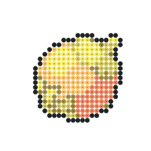 タポルのみ