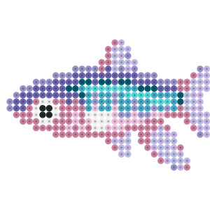 オイカワ