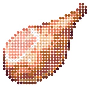 生ハム原木