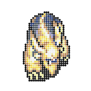 ドロクイ