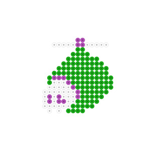 ペラスカル