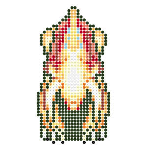 ドロクイR