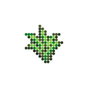 雑草