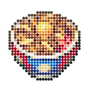 牛丼