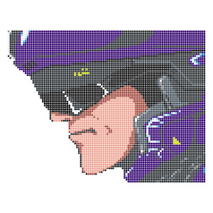 マーク・マッケンジー