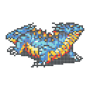 ダブルリザード
