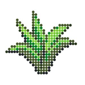 雑草