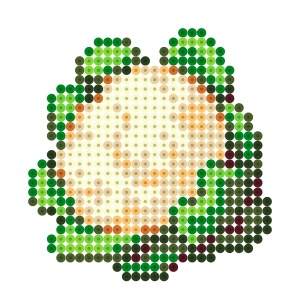 カリフラワー