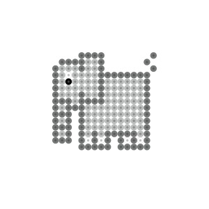 ゾウ