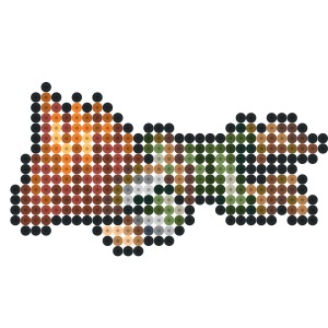 ジャン