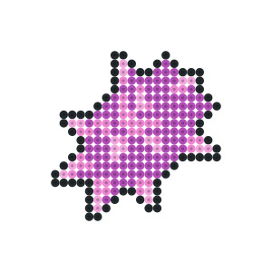 ナモのみ