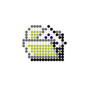 マイドキュメントフォルダ