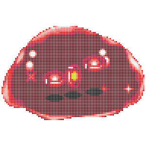 ヒューポスライム