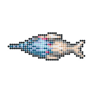 海の主の娘