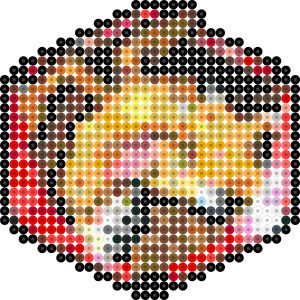 千年竜