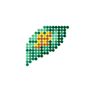 星くずのハーブ
