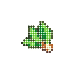 ナッパ