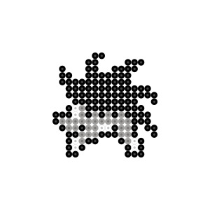 海ガメ