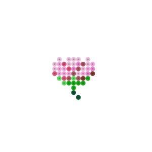 蕾
