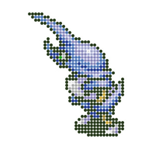 エイシトビートル