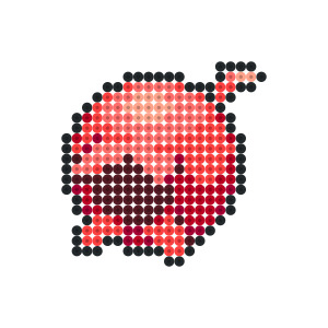 ハバンのみ