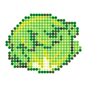 レタス