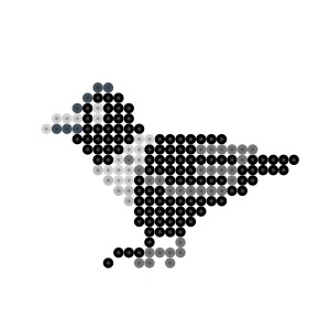 カラス