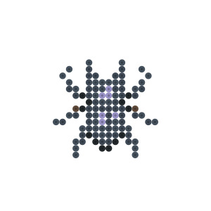 ヒラタクワガタ
