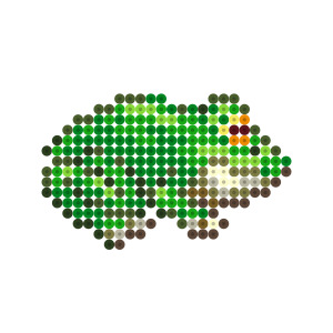 カエル