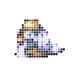 ドン・ペリ