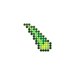 アロエ