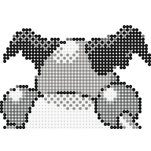 バリヤード
