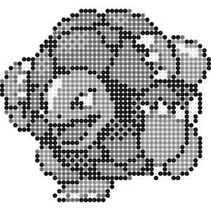 ゴローニャ