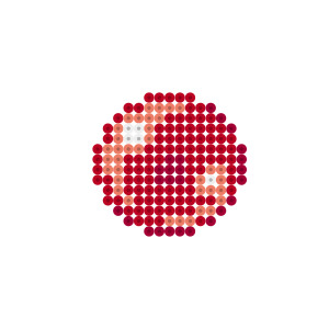 名称不明