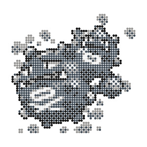 マタドガス