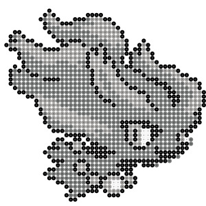 ムウマ