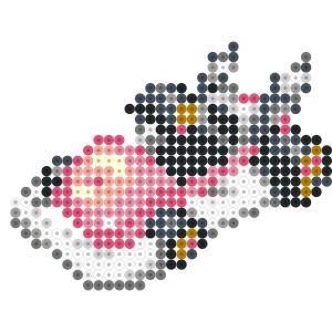 スタンダードPC