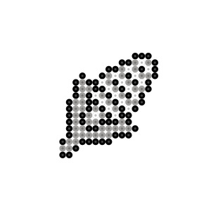 とうもろこし