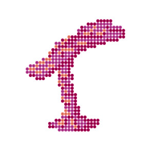 ケノバーム