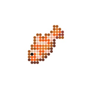 クマノミ