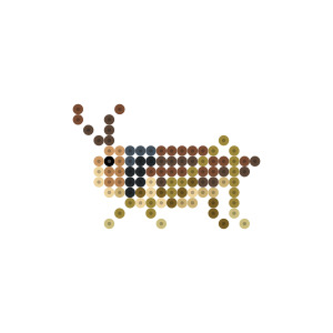 コオロギ