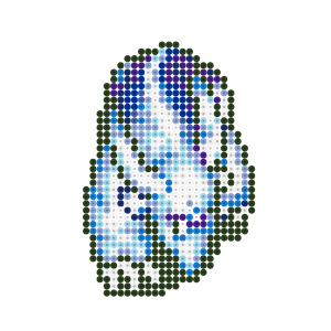 ドロクイL