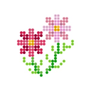 秋桜