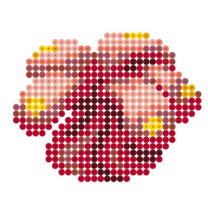 花