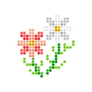 秋桜