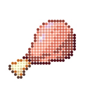 小さい獣肉