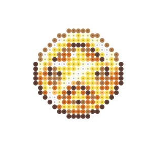 金のスターコイン